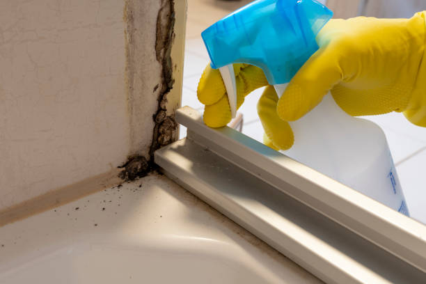 Best Asbestos and Lead Testing During Mold Inspection  in Cherryville, PA